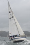 halley 2932c whyw25 fri 800_7508